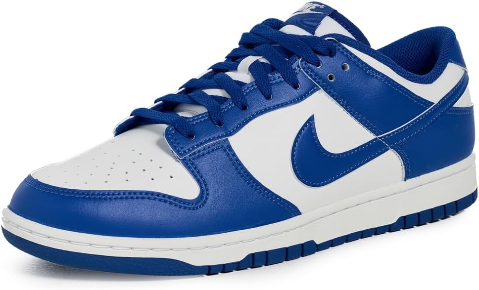 A Nike Dunk sneaker in a blue 